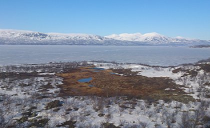 Frozen Lake Torneträsk, located next to the study site